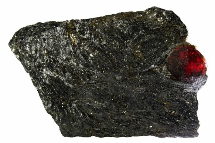 Red Embers Garnet in Graphite - Massachusetts #313418